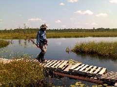 Dan Dorrough; bridge; IAT; Langlade County Arboretum, WI